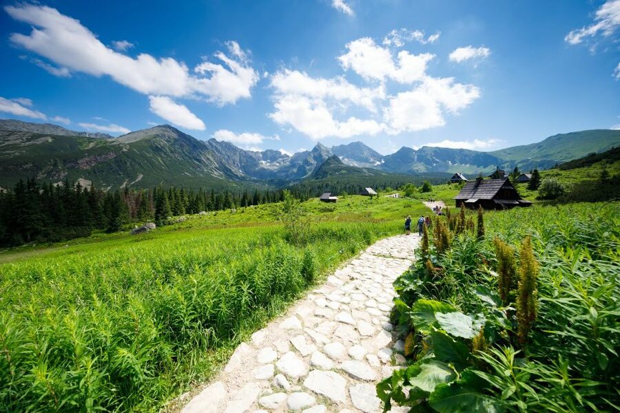 From Krakow: Zakopane Tatra Mountains & Hot Springs Tour - Timing, comfort, and the driver