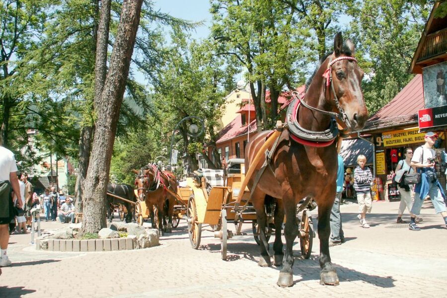 From Krakow: Zakopane & Tatra Mountains Tour - What the guides can add