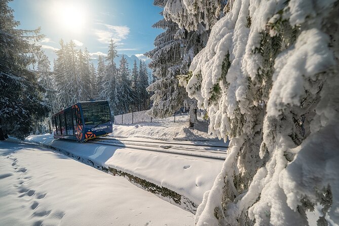 From Krakow: Zakopane Tour, Hot Springs, Cable Car, Local Tasting - Oscypek, Vodka, and Highland Food Traditions