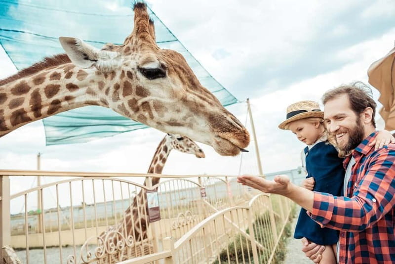 From Krakow: Zoo Trip with Private Luxury Transfer - Entering Krakow Zoo in Wolski Forest