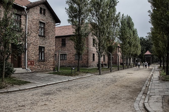 Full-Day Auschwitz and Birkenau Tour from Krakow with Private Transfer - Birkenau: scale, railway ramp, and memorial