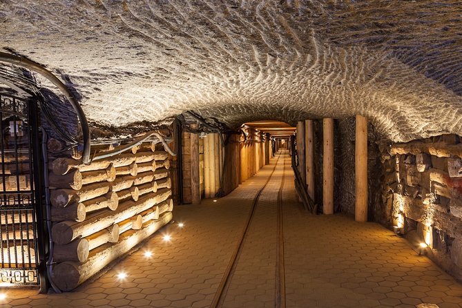 Full-Day Auschwitz-Birkenau and Salt Mine from Krakow - Who will get the most from this tour
