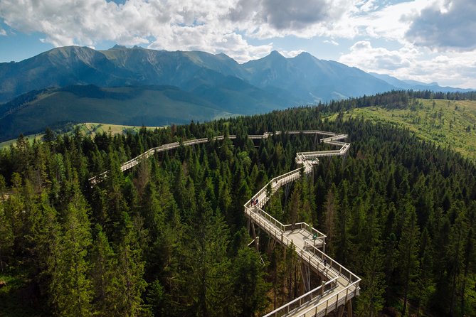 Full-Day Zakopane and Slovakia Treetop Walk From Krakow - Who should book this mountain day?