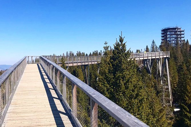 Full-Day Zakopane and Slovakia Treetop Walk From Krakow - My booking advice