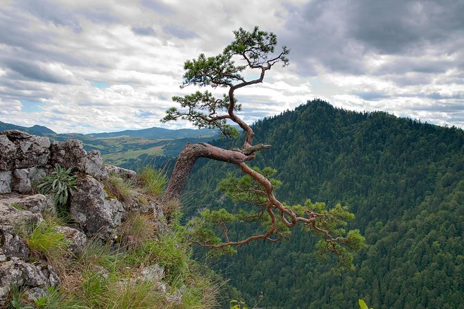 Half-Day Dunajec River Rafting tour from Krakow - Why the Dunajec Gorge Is Worth the Morning