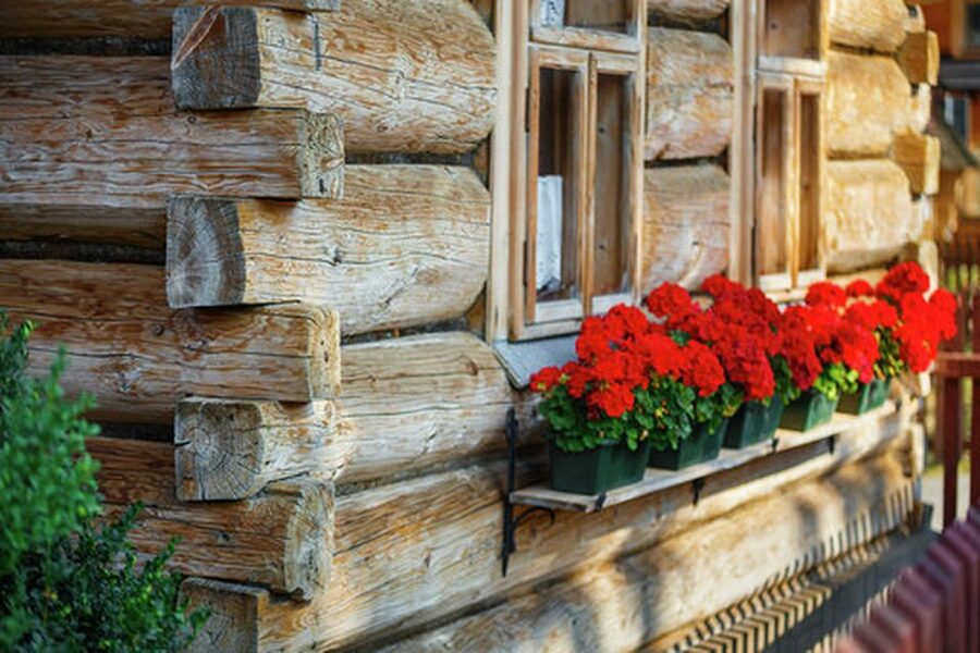 Horse Sleigh 2-3h Ride with Hot Springs or Zakopane Combos - Who should book this experience?