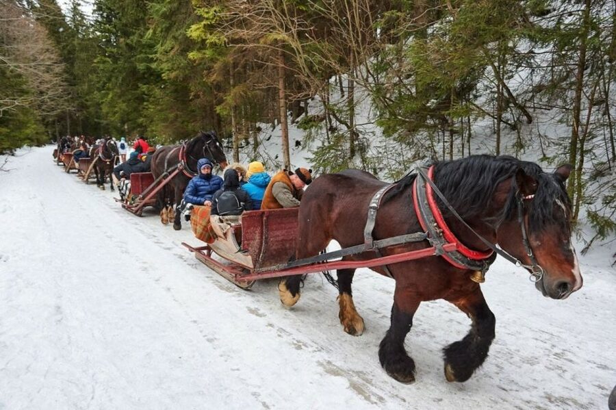 Horse Sleigh 2-3h Ride with Hot Springs or Zakopane Combos - Chocholow’s wooden houses and highland traditions