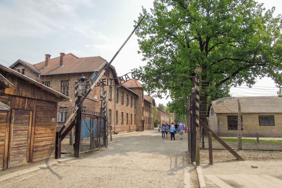 Krakow: Auschwitz and Wieliczka Salt Mine Combo Tour - The waiting time can shape the whole day