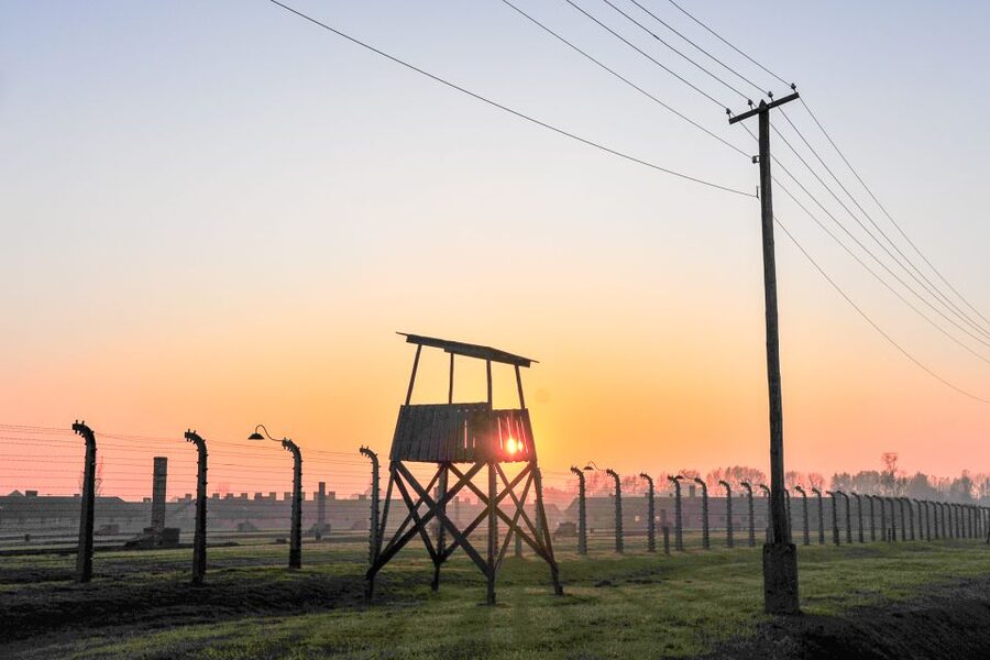 Krakow: Auschwitz-Birkenau and Salt Mine Guided Tour - The transfer to Wieliczka gives you a needed reset