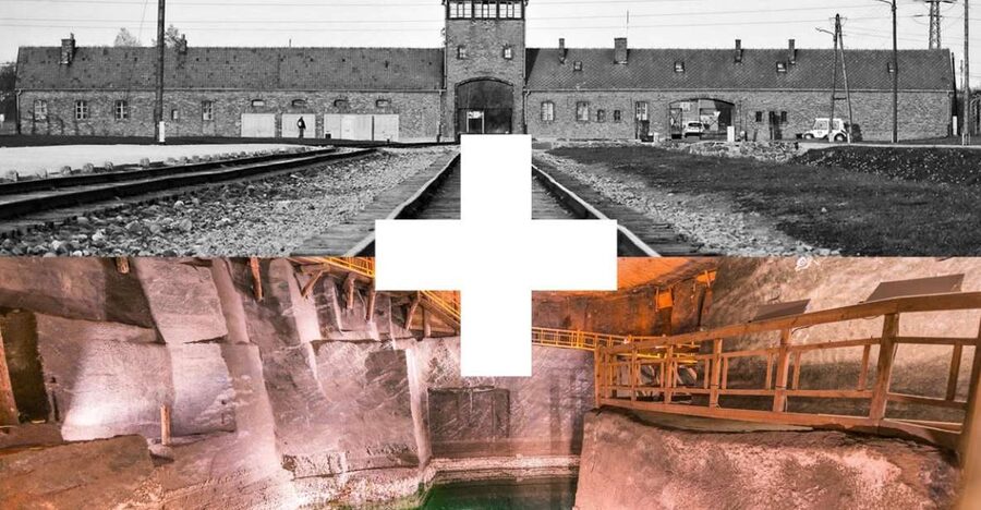 Krakow: Auschwitz-Birkenau and Salt Mine Guided Tour - Wieliczka Salt Mine: a striking change of mood