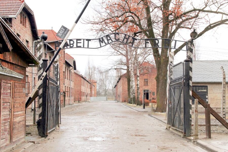 Krakow: Auschwitz-Birkenau and Salt Mine Guided Tour - Guides, headsets, and group organization