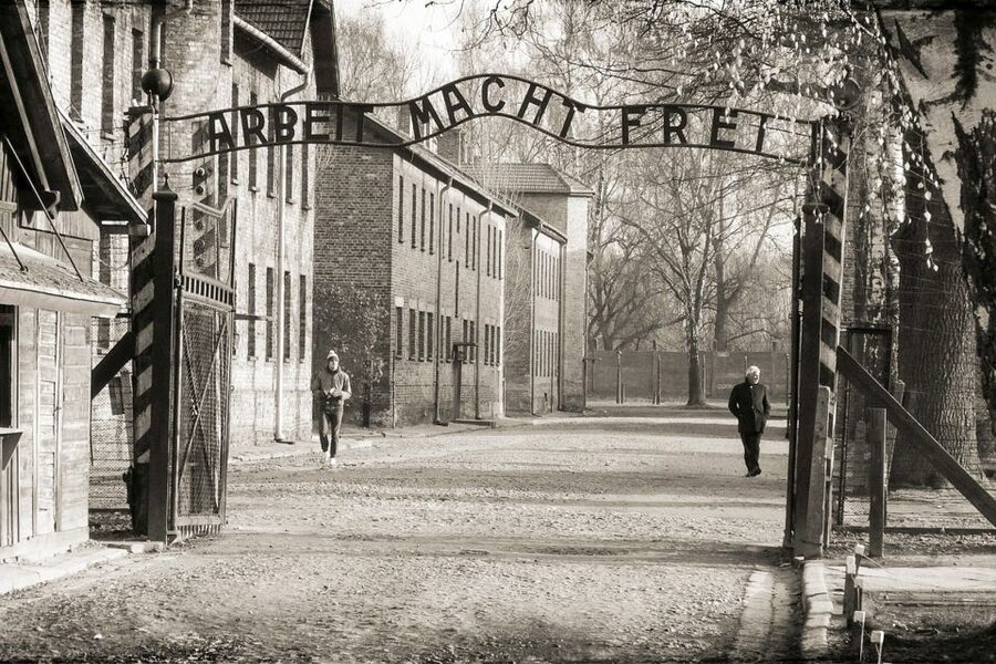 Krakow: Auschwitz-Birkenau and Salt Mine Guided Tour - What $54 gets you, and what it does not