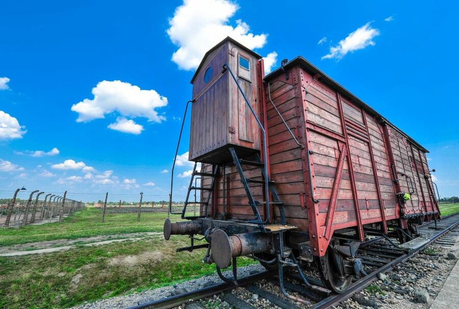 Krakow: Auschwitz-Birkenau and Wieliczka Salt Mine Day Trip - How the transportation affects the experience