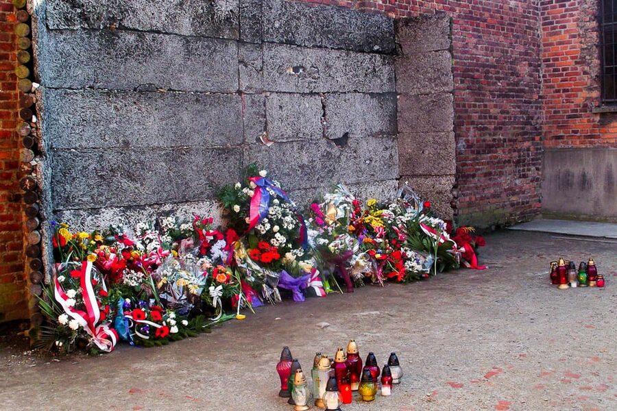 Krakow: Auschwitz-Birkenau Day Trip with Tour Leader - My verdict: book it if organization matters most