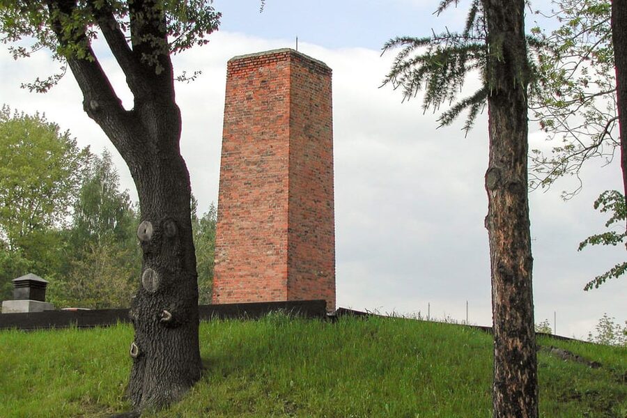 Krakow: Auschwitz-Birkenau Day Trip with Tour Leader - The short transfer to Birkenau