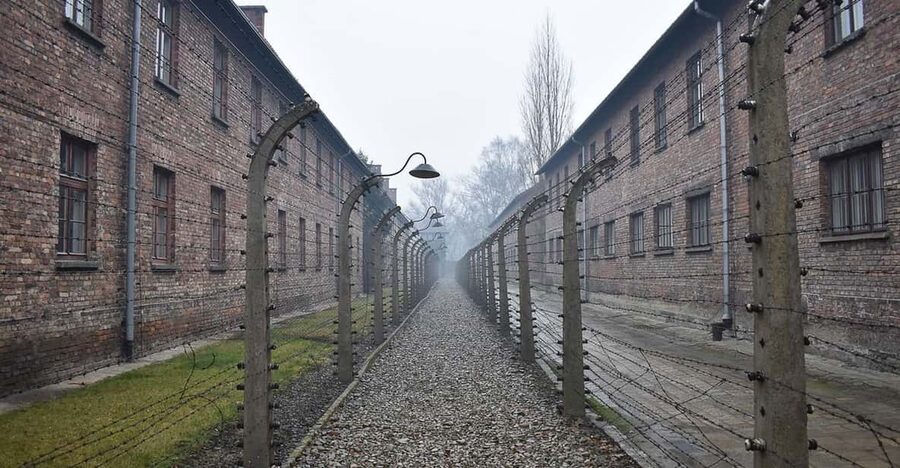 Krakow: Auschwitz-Birkenau Day Trip with Tour Leader - Timing, queues, and the real length of the day