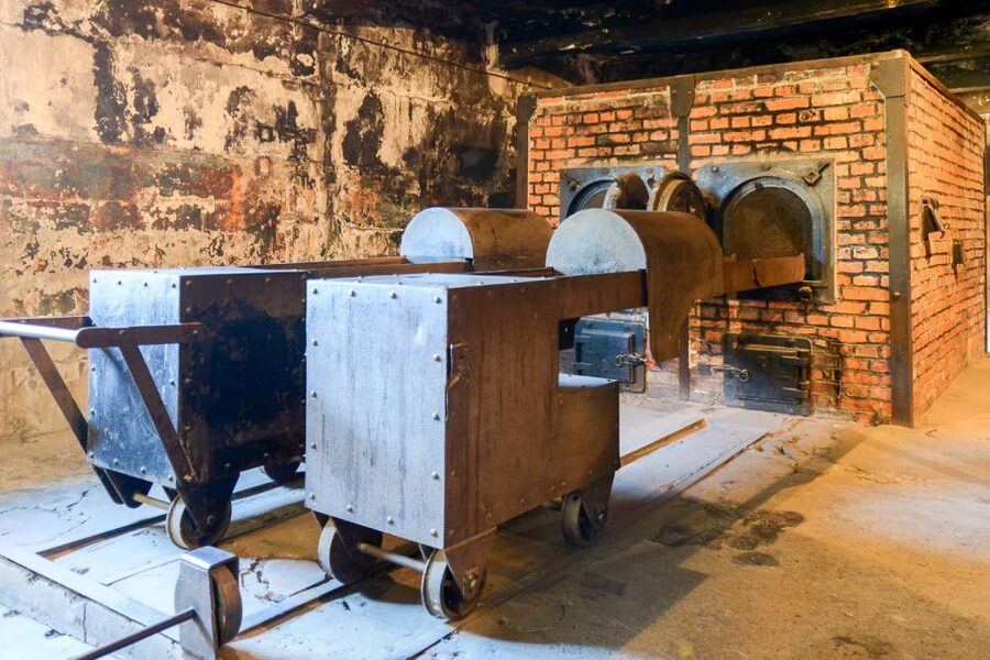 Krakow: Auschwitz-Birkenau Day Trip with Tour Leader - Is $37 good value?