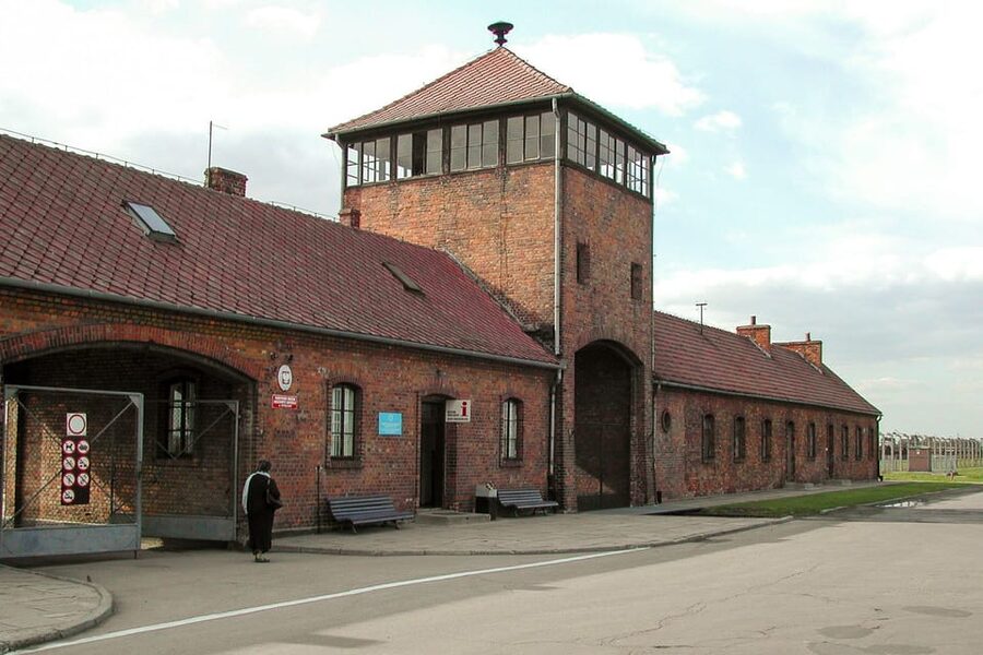 Krakow: Auschwitz-Birkenau Day Trip with Tour Leader - Who will get the most from this trip?