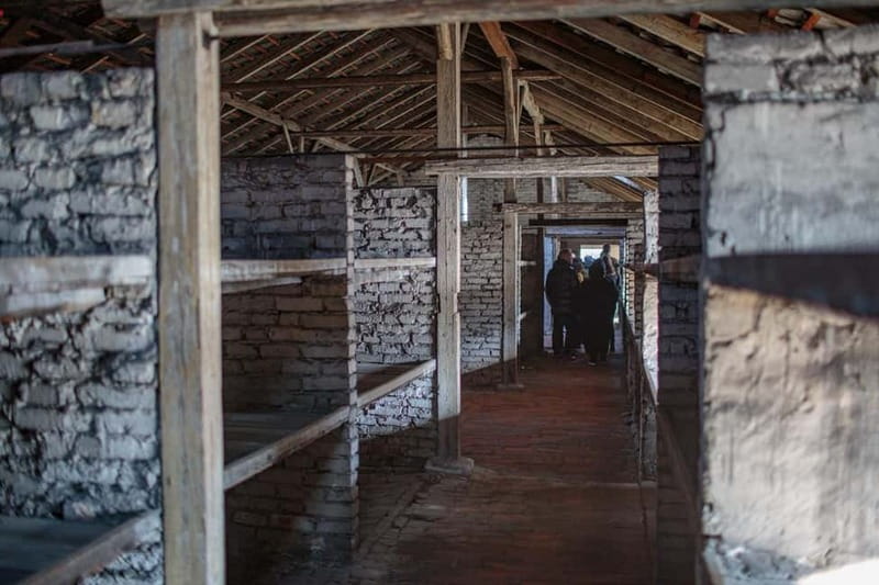 Krakow: Auschwitz-Birkenau Entry Ticket and Transfer - Practical details that can affect your day