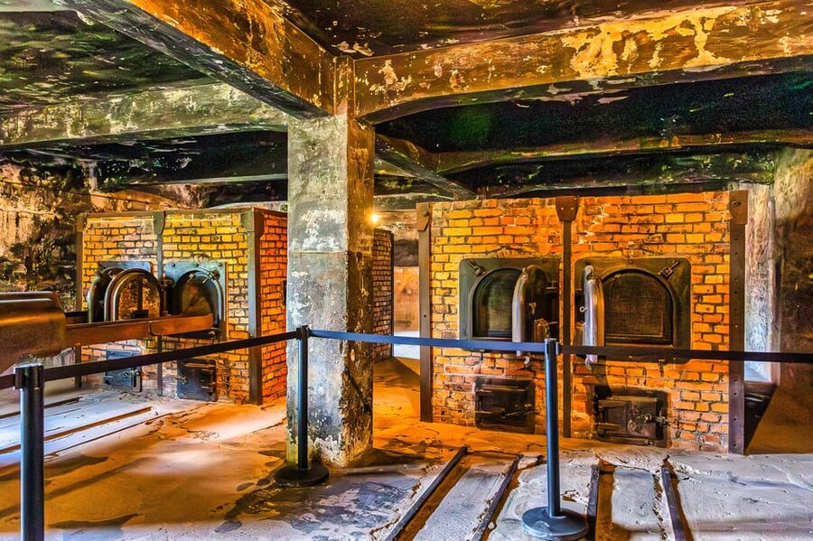 Krakow: Auschwitz-Birkenau Guided Tour and Private Transport - Why Auschwitz requires a guided visit