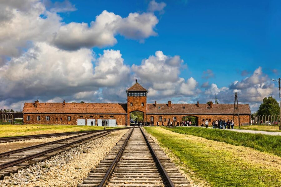 Krakow: Auschwitz-Birkenau Guided Tour and Private Transport - A three-hour memorial visit with a firm schedule