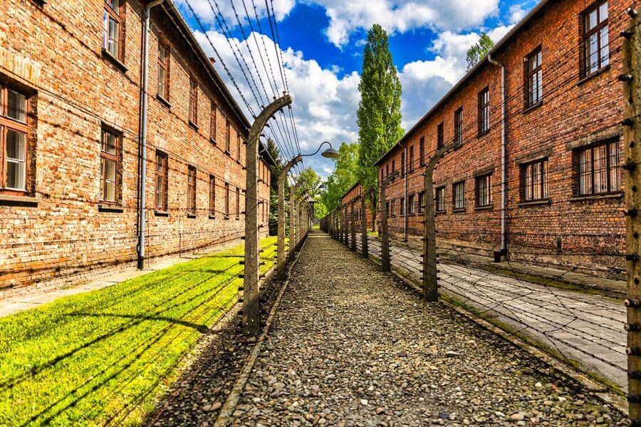 Krakow: Auschwitz-Birkenau Guided Tour and Private Transport - Lunch, clothing, and practical preparation