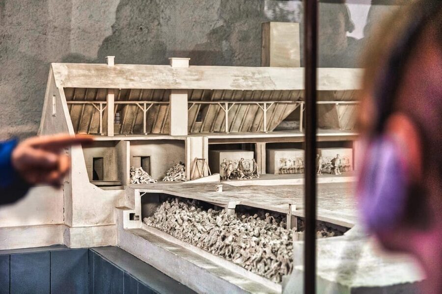 Krakow: Auschwitz-Birkenau Guided Tour and Private Transport - Who should book this Auschwitz tour