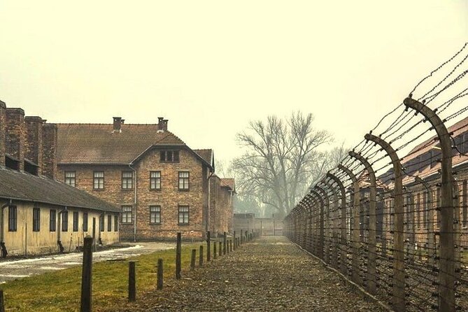 Krakow: Auschwitz-Birkenau Guided Tour & Hotel Pick Up - Why this day matters