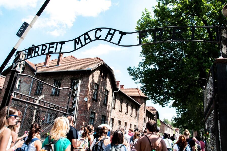 Krakow: Auschwitz-Birkenau Guided Tour Pickup/Lunch Options - Birkenau: scale, railway, and destruction