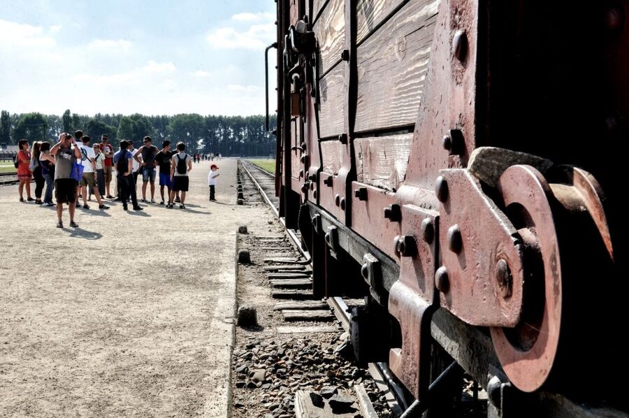 Krakow: Auschwitz-Birkenau Guided Tour Pickup/Lunch Options - Timing, group size, and the value of a guide