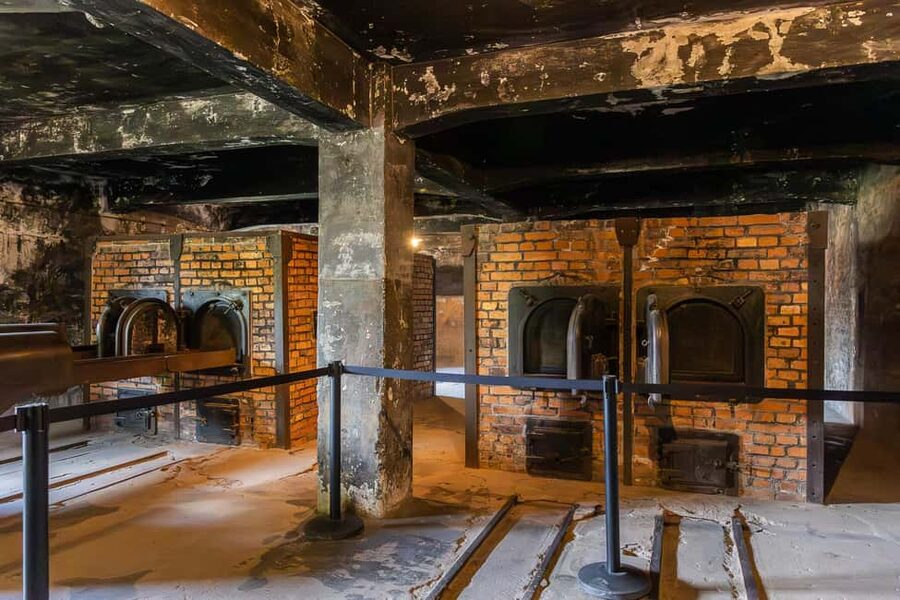 Krakow: Auschwitz-Birkenau Guided Tour with Transportation - Practical preparation for a respectful visit