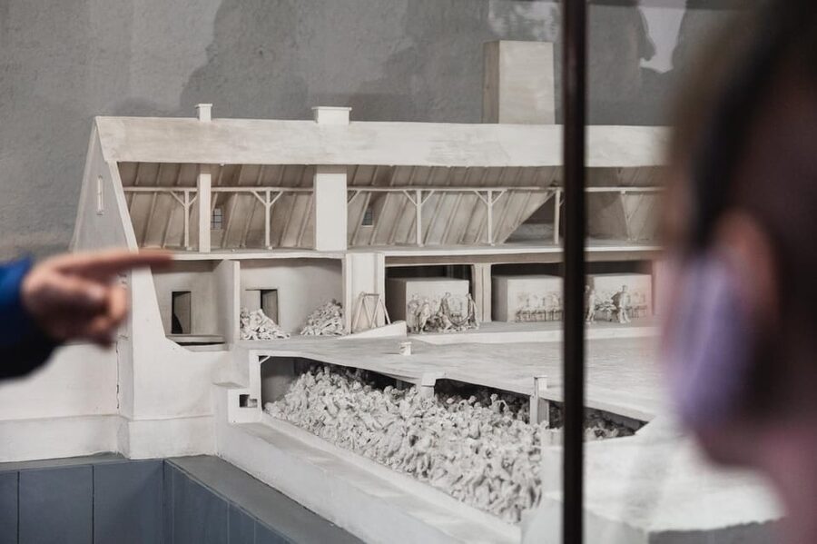 Krakow: Auschwitz-Birkenau Guided Tour with Transportation - Who should book this experience
