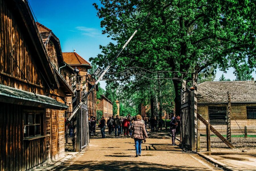 Krakow: Auschwitz-Birkenau Live Guided Tour & Hotel Pickup - Who should choose this Auschwitz tour?