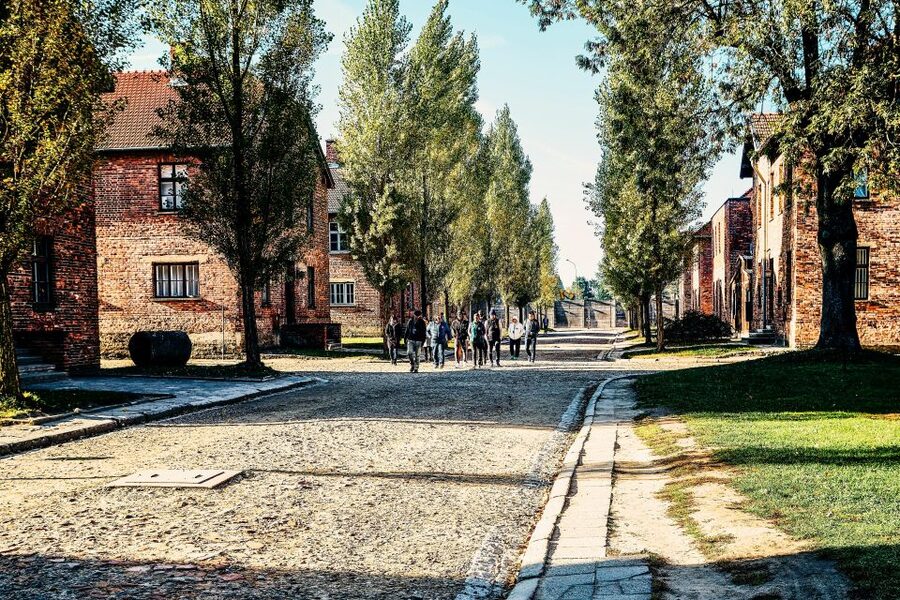 Krakow: Auschwitz-Birkenau Live Guided Tour & Hotel Pickup - Guides, group size, and the human side of the visit