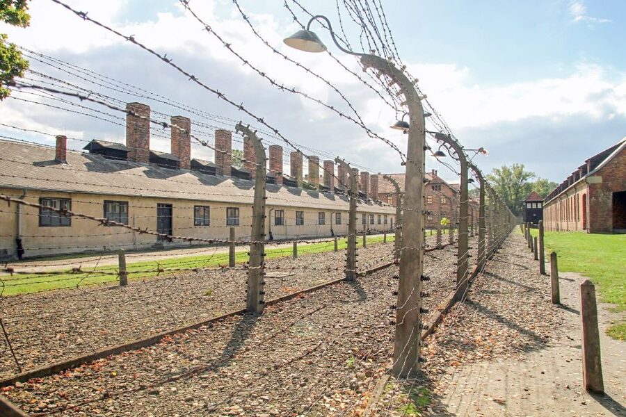 Krakow: Auschwitz Birkenau Museum Guided Tour with Pickup - Why Auschwitz needs a full day from Krakow