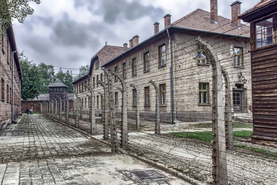 Krakow: Auschwitz Birkenau Museum Guided Tour with Pickup - Timing, waiting, and the seven-hour schedule
