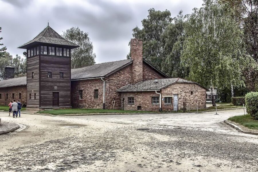 Krakow: Auschwitz Birkenau Museum Guided Tour with Pickup - Who this tour suits best