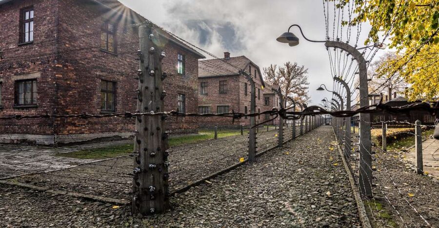 Kraków: Auschwitz-Birkenau & Salt Mine Full-Day Guided Tour - Birkenau and the scale of the camp