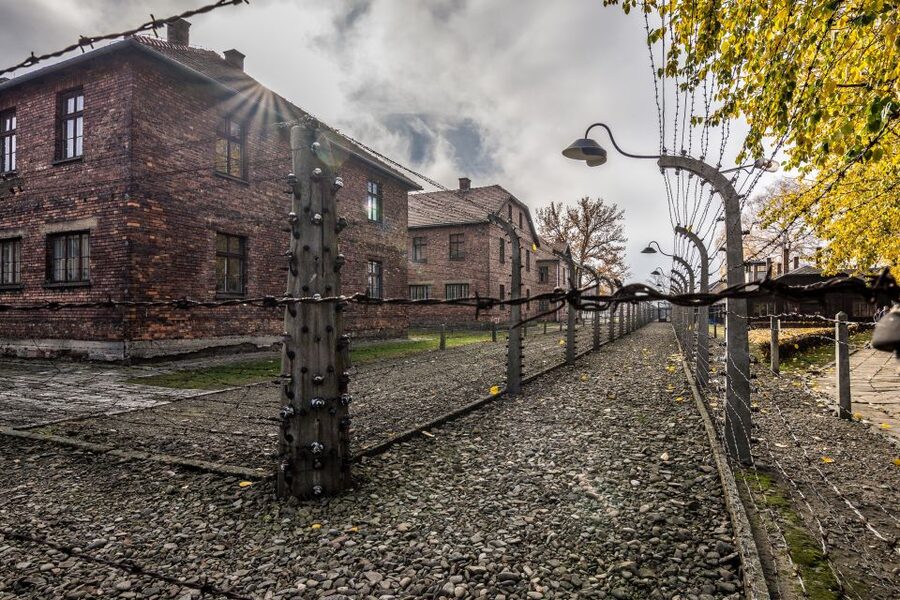 Kraków: Auschwitz-Birkenau & Salt Mine Full-Day Guided Tour - The transfer to Wieliczka and the lunch gap
