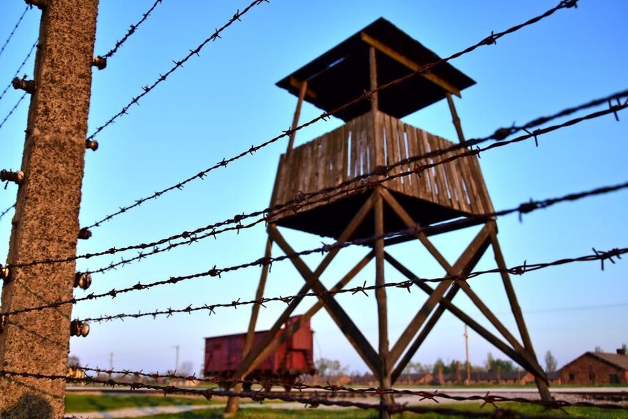 Kraków: Auschwitz-Birkenau & Salt Mine Full-Day Guided Tour - Who will get the most from this tour?