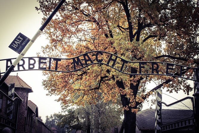 Krakow: Auschwitz-Birkenau Shared English Tour and Transfer - Birkenau: scale, distance, and silence
