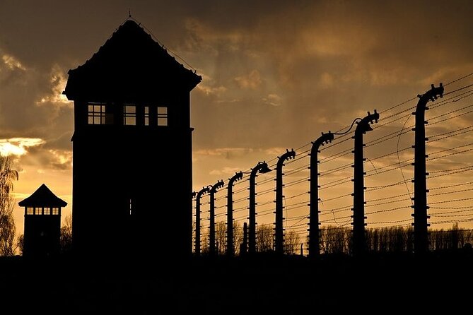 Krakow: Auschwitz-Birkenau Tour & Museum Expert Guide - Auschwitz I: barracks, evidence, and the gate