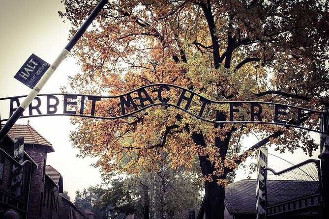 Krakow: Auschwitz-Birkenau Tour & Museum Expert Guide - Why the museum guide matters