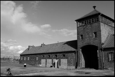 Auschwitz-Birkenau Tour & Museum Expert Guide