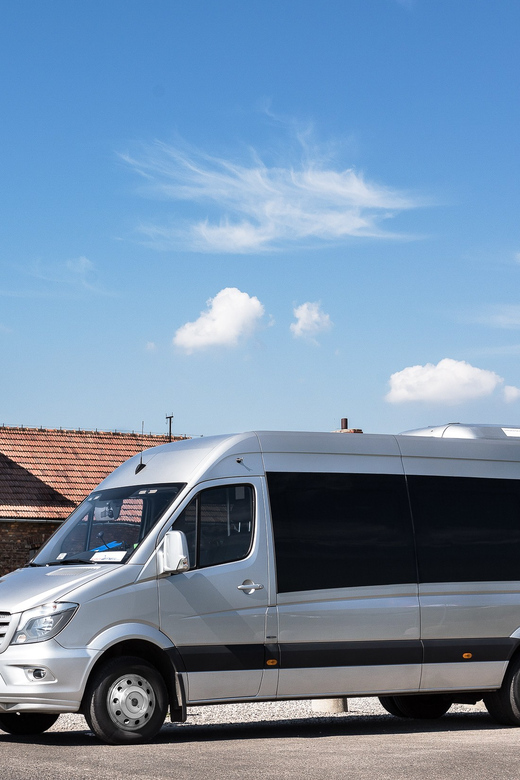Krakow: Auschwitz-Birkenau & Wieliczka Salt Mine Day Tour - Who should book this day tour?