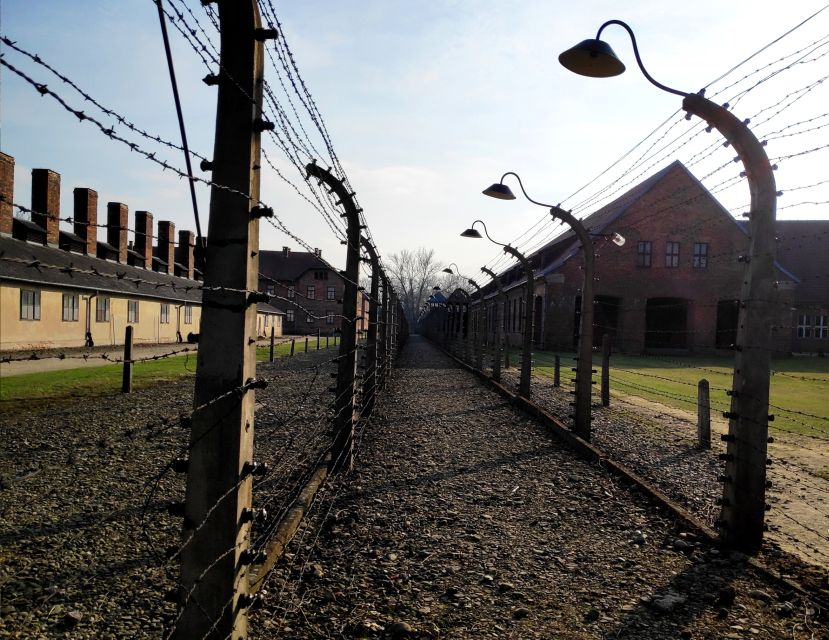 Krakow: Auschwitz-Birkenau & Wieliczka Salt Mine with Lunch - One day, two very different Polish landmarks