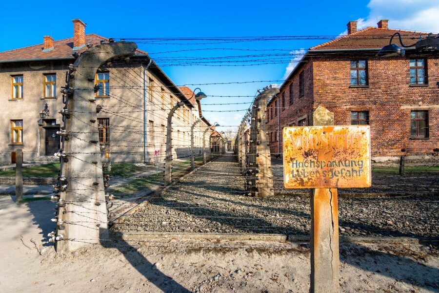 Krakow: Auschwitz Guided Tour with Optional Hotel Pickup - Who should choose this tour?