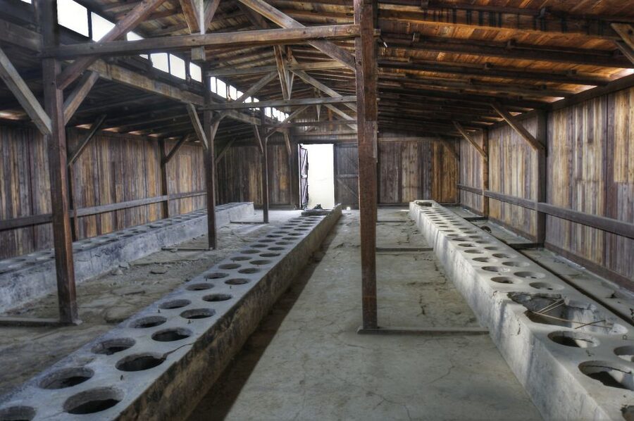 Krakow: Auschwitz Guided Tour with Pickup and Optional Lunch - Birkenau’s open grounds and wooden barracks