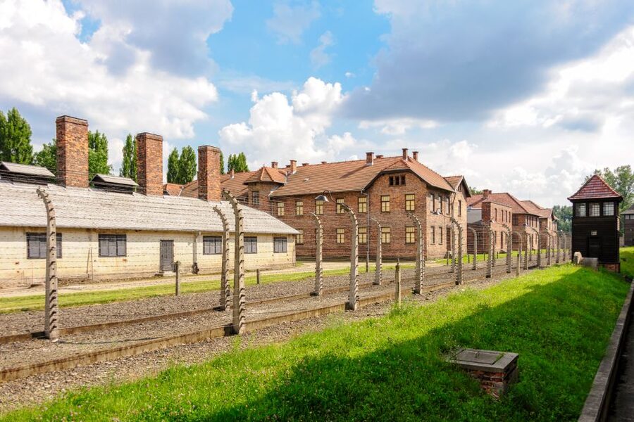Krakow: Auschwitz Guided Tour with Pickup and Optional Lunch - Timing, queues, and what can change