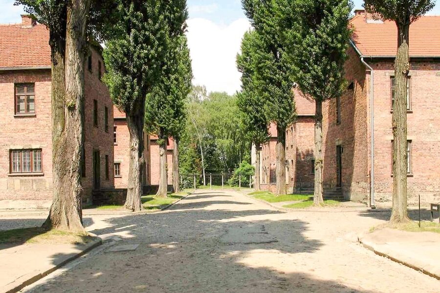 Krakow: Auschwitz & Wieliczka Salt Mine Guided Day Tour - Auschwitz-Birkenau: a structured visit to a place of memory